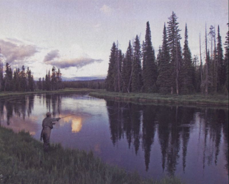 Fly Fishing